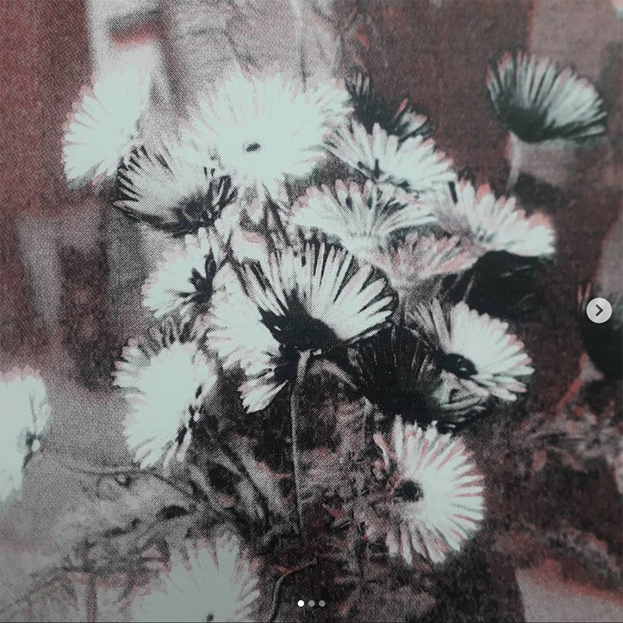 Risograd Flowerprint | Instagram